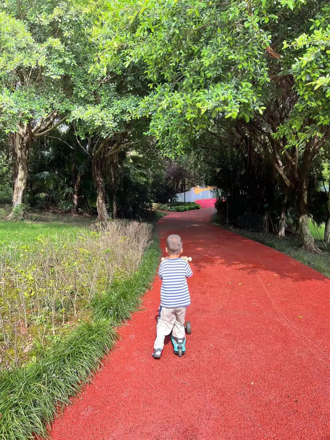 DƬ